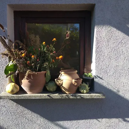 Prázdninový dům Ferienhaus Badetz *