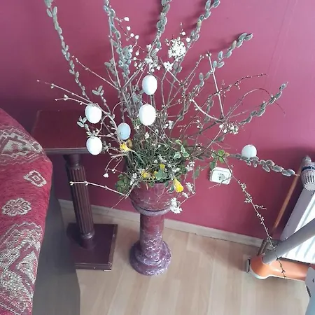 Prázdninový dům Ferienhaus Badetz